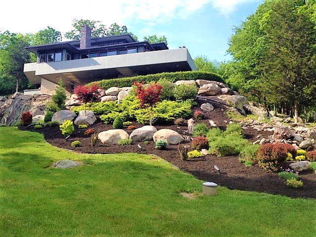 Hillside Planting - EDC Landscaping